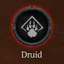 [Carry Run] Starter to Level 60+Paragon 100 : Druid